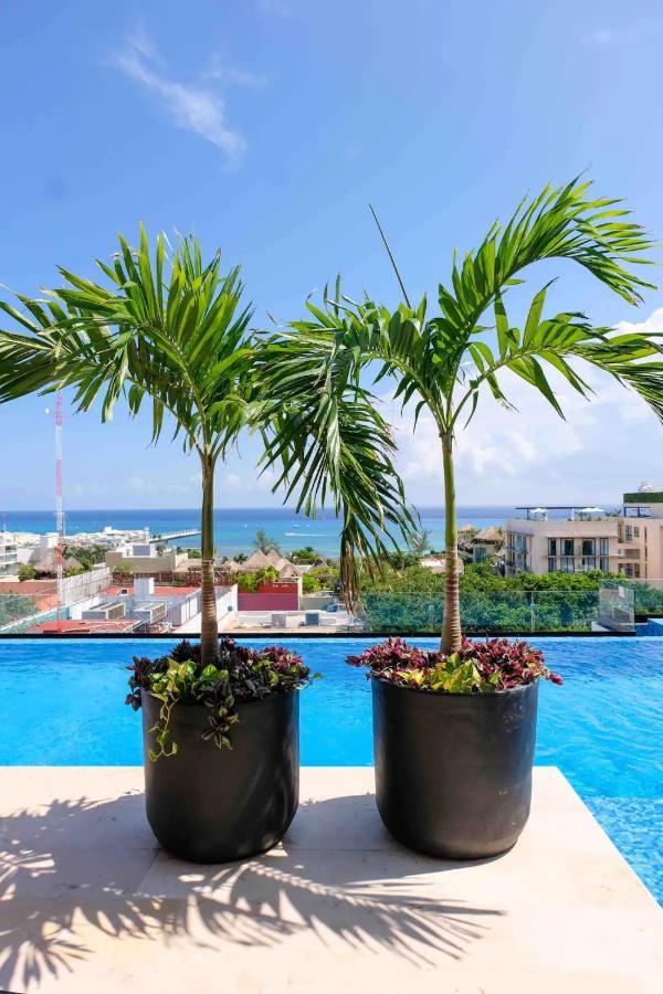 Stayon5A.Av.Penthouse With Privatepool Freeparking Playa del Carmen Ngoại thất bức ảnh